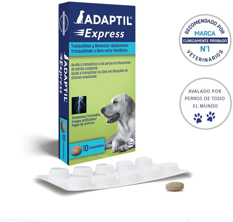  ADAPTIL Express - Tranquiliza a los perros de forma rápida - Tormentas, Fuegos artificales, Petardos, Fiestas, Viajes, Miedos, Visitas al veterinario - Caja de 10 comprimidos 