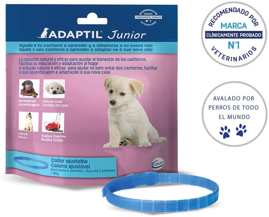  ADAPTIL Junior - Antiestrés para cachorros - Adaptación al hogar, Aprendizaje, Educación, Lloros, Quedarse solo - Collar para Cachorros 