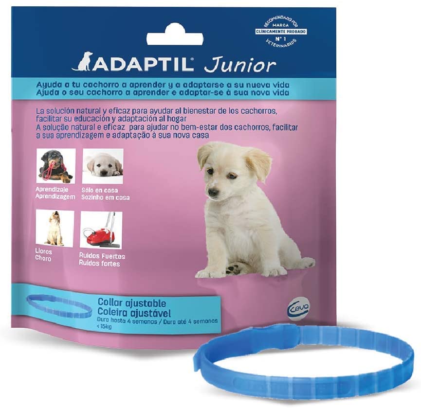  ADAPTIL Junior - Antiestrés para cachorros - Adaptación al hogar, Aprendizaje, Educación, Lloros, Quedarse solo - Collar para Cachorros 
