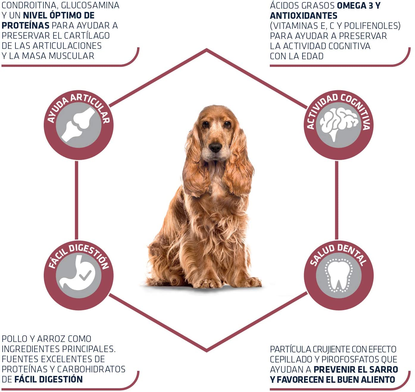 Advance Senior Medium - Pienso para Perros de Edad Avanzada de Razas Medianas - 12 kg 