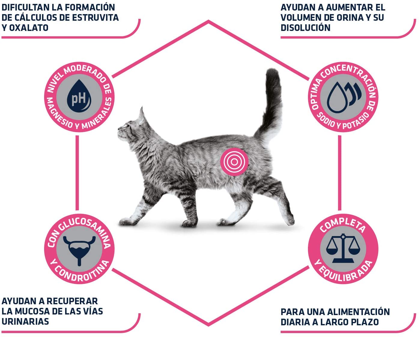  Advance Veterinary Diets Urinary - Pienso para Gatos con Problemas urinarios - 8 kg 