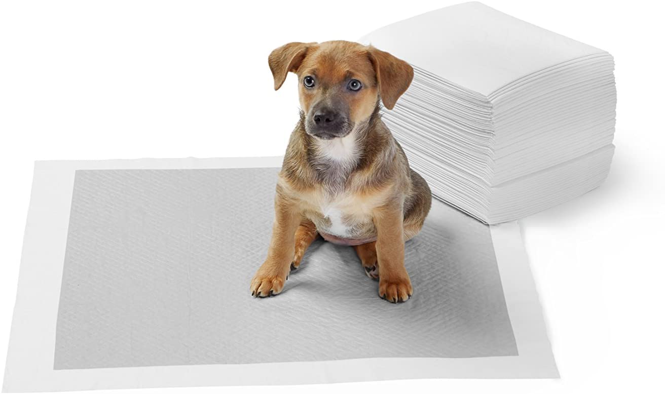  AmazonBasics - Empapadores de adiestramiento para perros, carbón, normal, 40 unidades 