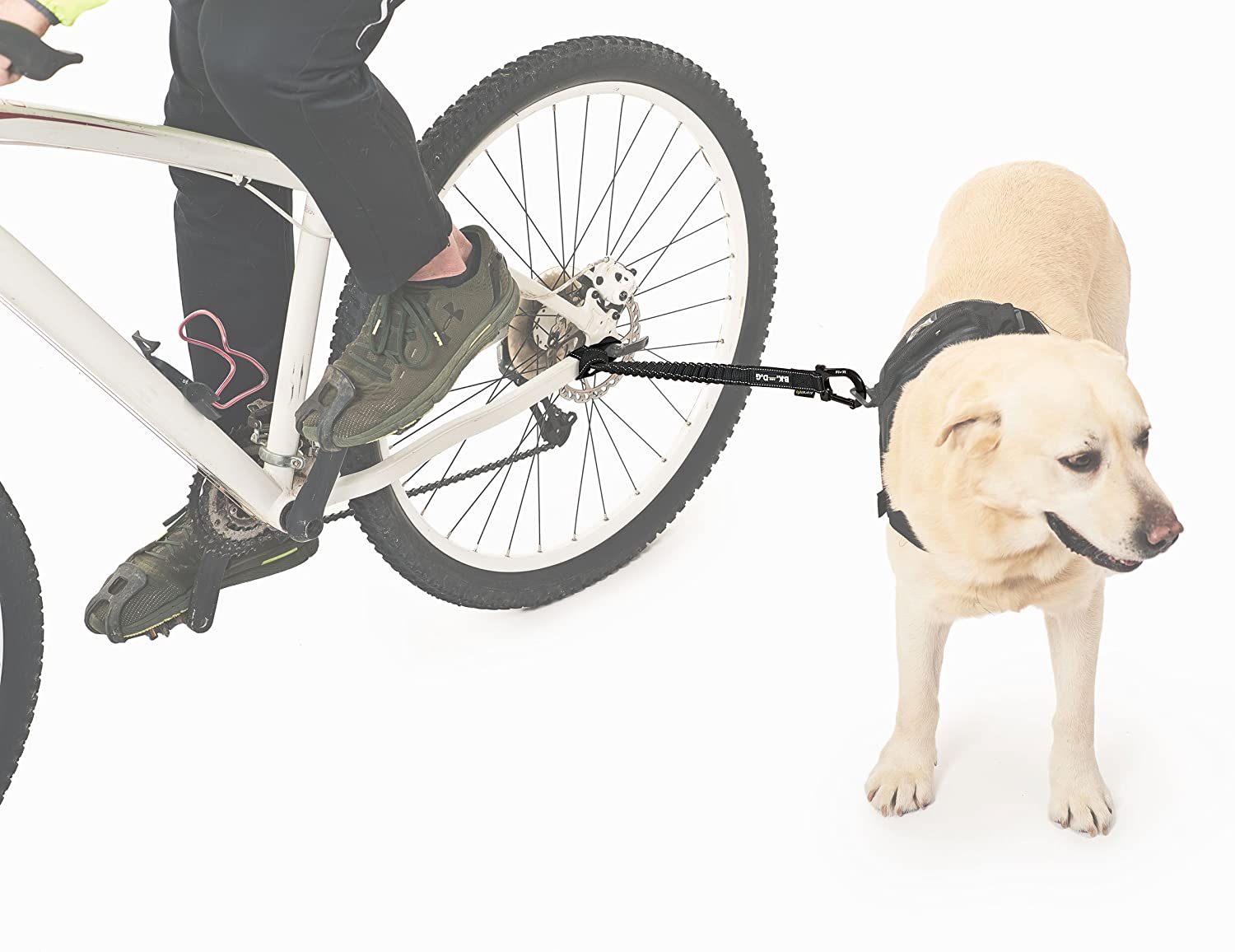  BIKE AND DOG Correa Llevar a uno o más Perros con una Bicicleta. Producto Patentado 