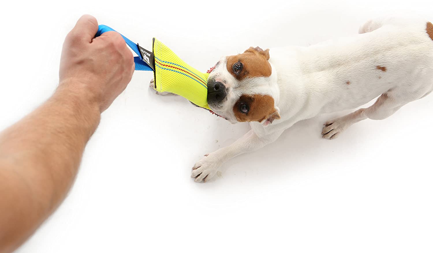  Bull Fit mordedor perro K9, 30 cm - Embutido de manguera, dummy y motivador canino resistente y duradero - juguetes para perros de entrenamiento 