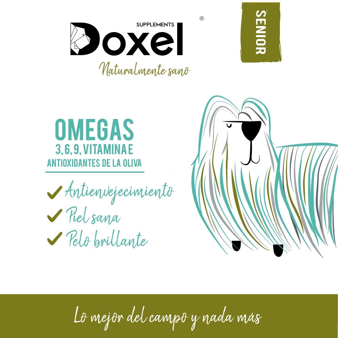  Doxel Senior-250ml Aceite para perros| Suplemento| Antiinflamatorio| Anti envejecimiento| Articulaciones sanas| Sistema inmunitario| Ácidos grasos Omega 3 6 9| Vitamina E| Masa muscular|Perros mayores 