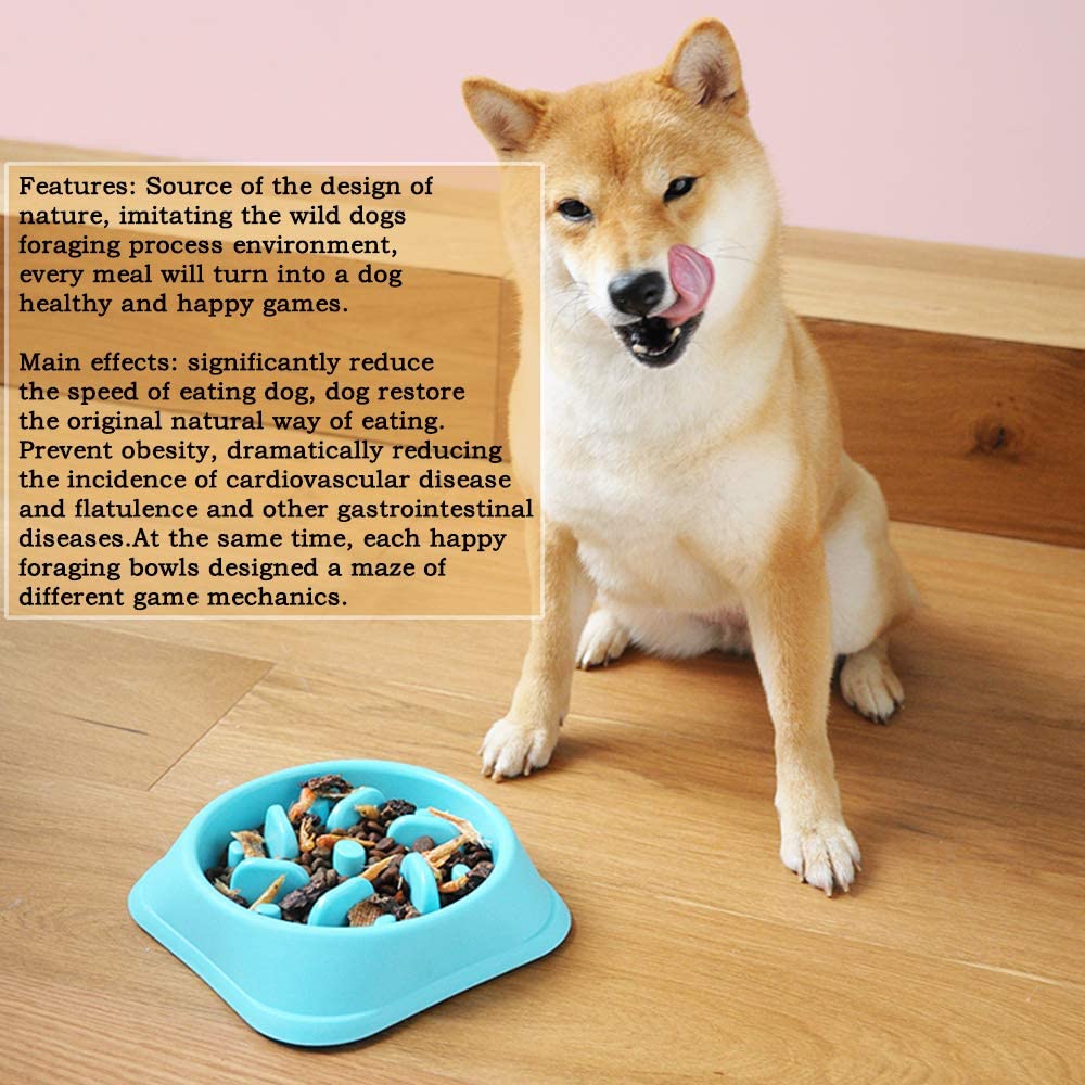  JJYHEHOT Tazón de Mascota alimentador Lento tazón de Comida Lenta de Mascota Anti-Gulping Gato/Perro 