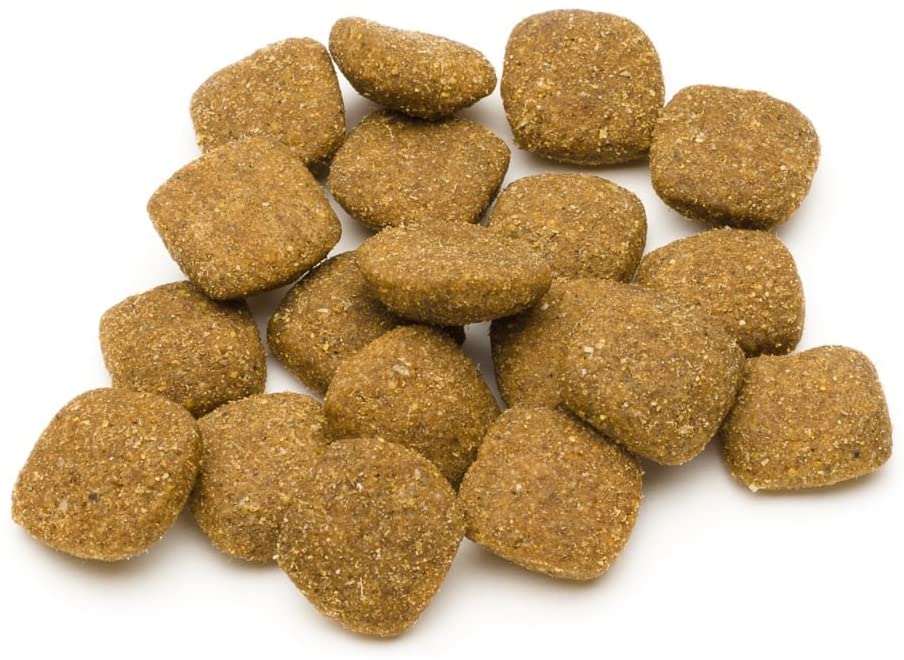  Marca Amazon - Solimo - Alimento seco completo para perro adulto rico en cordero y arroz, 1 Pack de 5 kg 