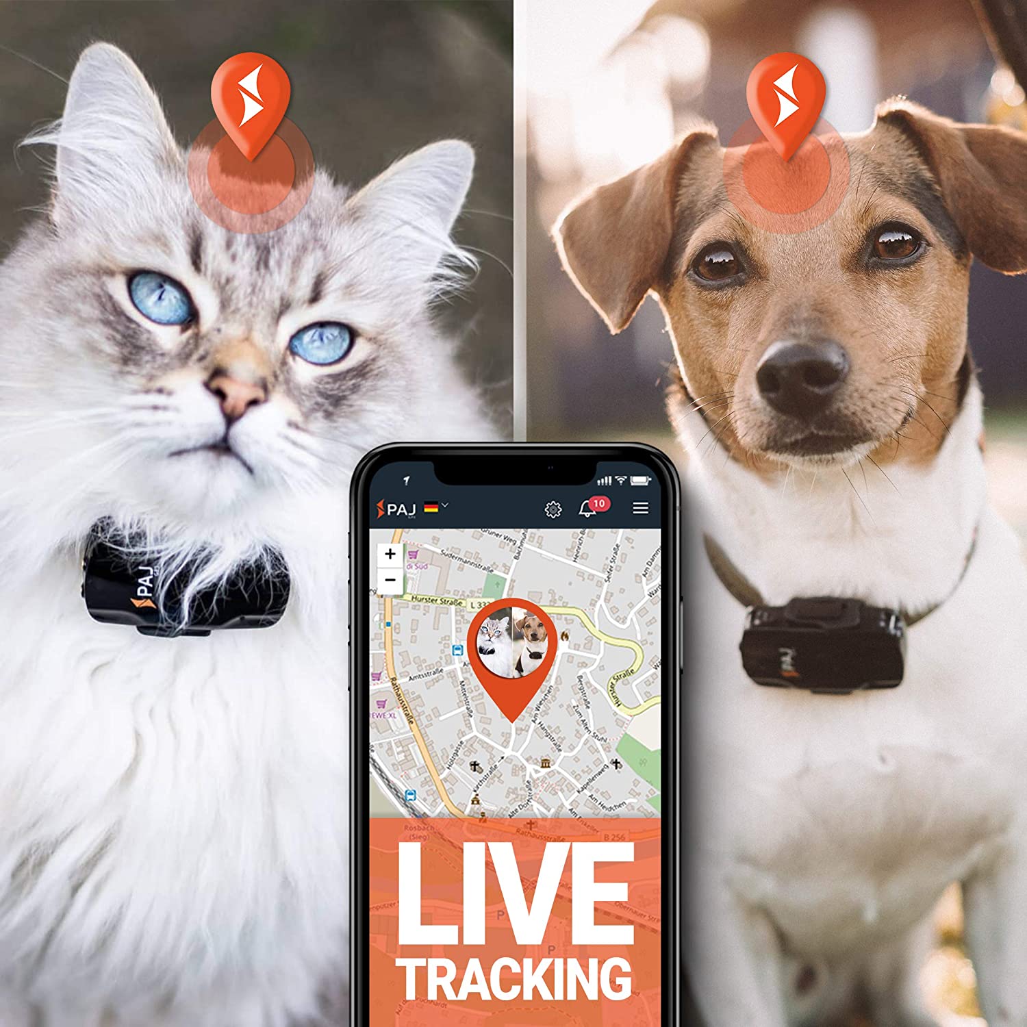  PAJ GPS Pet Finder GPS Tracker Mini Protege Perros y Gatos Resistente al Agua 2 días de duración de la batería (3 días Modo de Espera) Rastreo en Vivo 