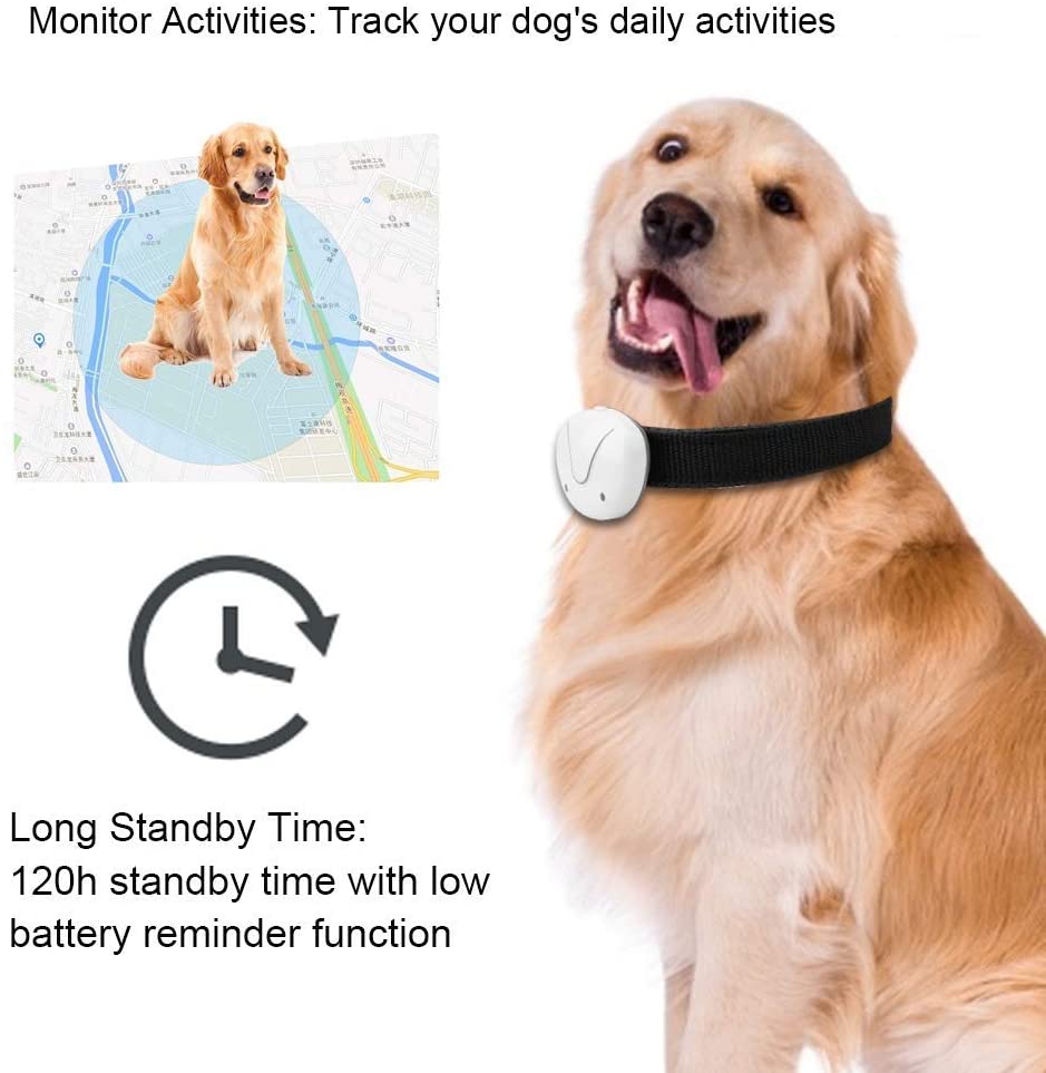  Rastreador de mascotas Kuoser Sin tarifas mensuales, collar de seguimiento GPS impermeable y liviano para perros y gatos, aplicable para GSM y WIFI con ubicación en vivo actualizada por 10 s 