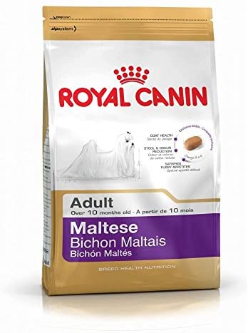  Royal Canin - Alimento seco para Perro maltés 24 canino, 1,5 kg 
