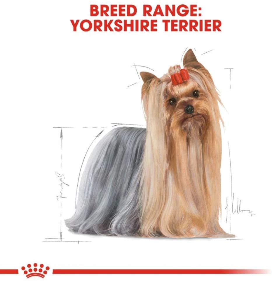  ROYAL CANIN Breed Mini Yorkshire Comida para Perros - Paquete de 12 x 85 gr - Total: 1020 gr 