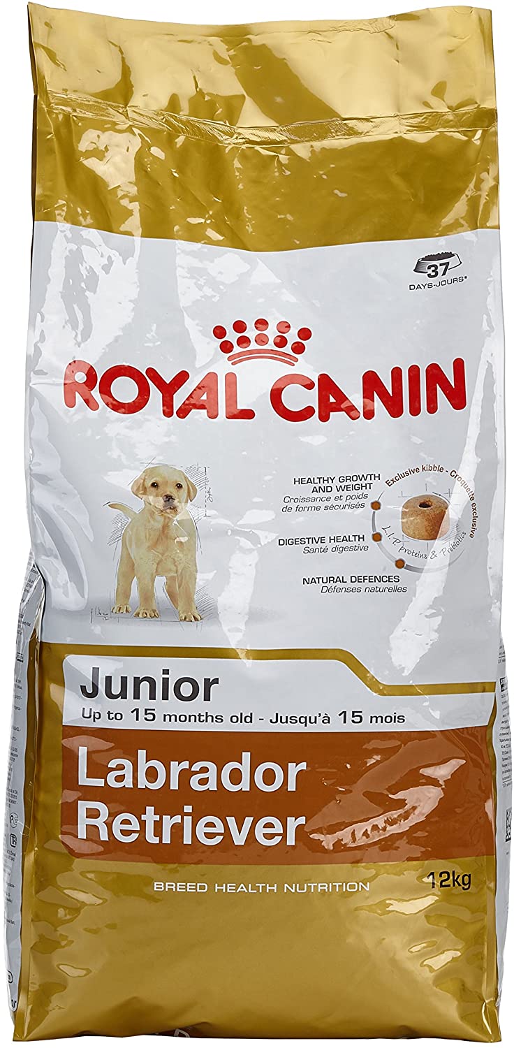  Royal Canin C-08910 S.N. Labrador Junior - 3 Kg 