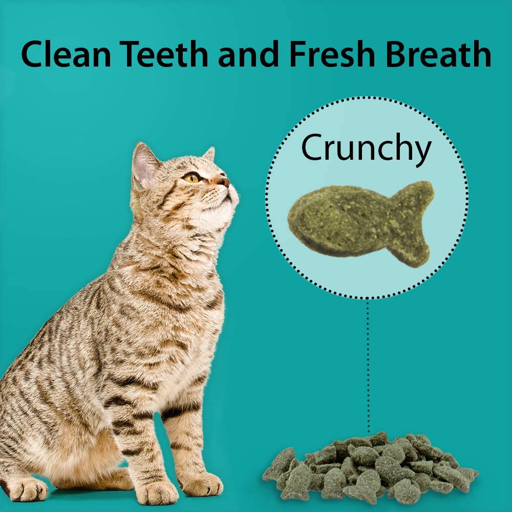  Smart n' Tasty Treats Cat océano Peces Dental sin Grano, 3-Ounce 