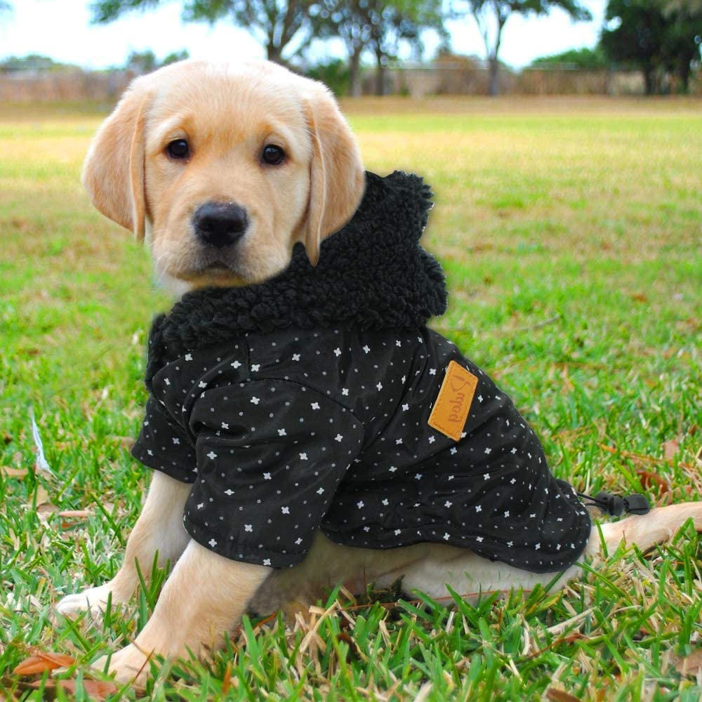  Tineer Pet Puppy Little Star Coat, Perro de Mascota Cálido Invierno Ropa Cachorro Suéter Ropa Ropa para Perros (XL, Negro) 