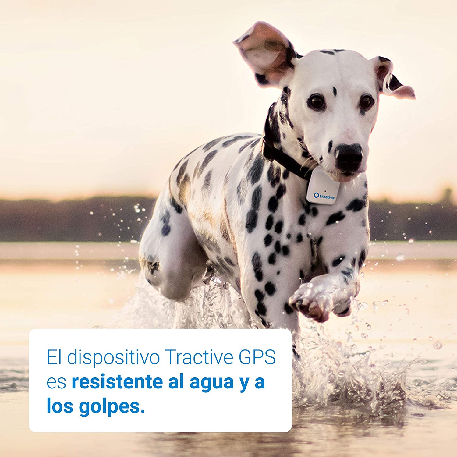  Tractive Localizador GPS para perros - Rastreador con rango ilimitado 