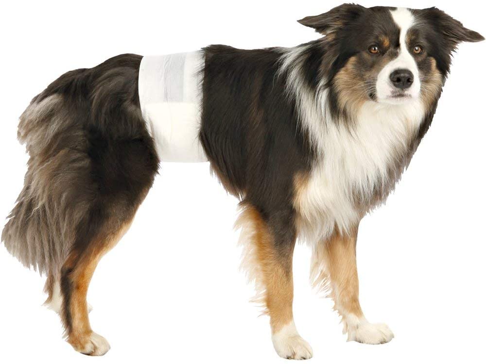  Trixie Pañales para Perros Absorbentes - Empapadores Perros Desechables para Incontinencias Cómodos 12 Unidades Talla M-L, 46-60 cm 