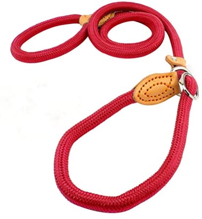  UEETEK 1,2 CM perro Slip plomo formación correa Collar Nylon plomo para mascotas entrenamiento (rojo) 