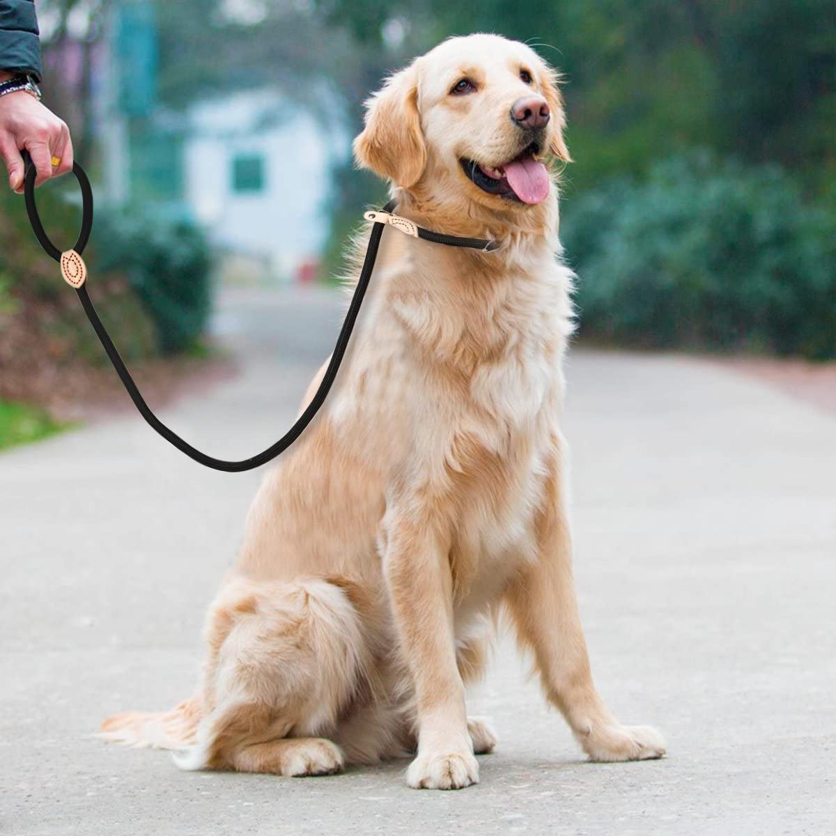  UEETEK 1,4 CM perro Slip formación correa Collar Nylon plomo para mascotas entrenamiento (negro) 