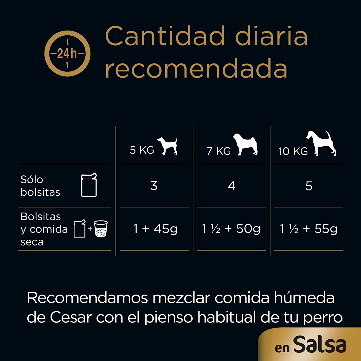  Cesar Multipack de 4 bolsitas de carnes mixtas para perro de 100g selección en salsa (Pack de 13) 