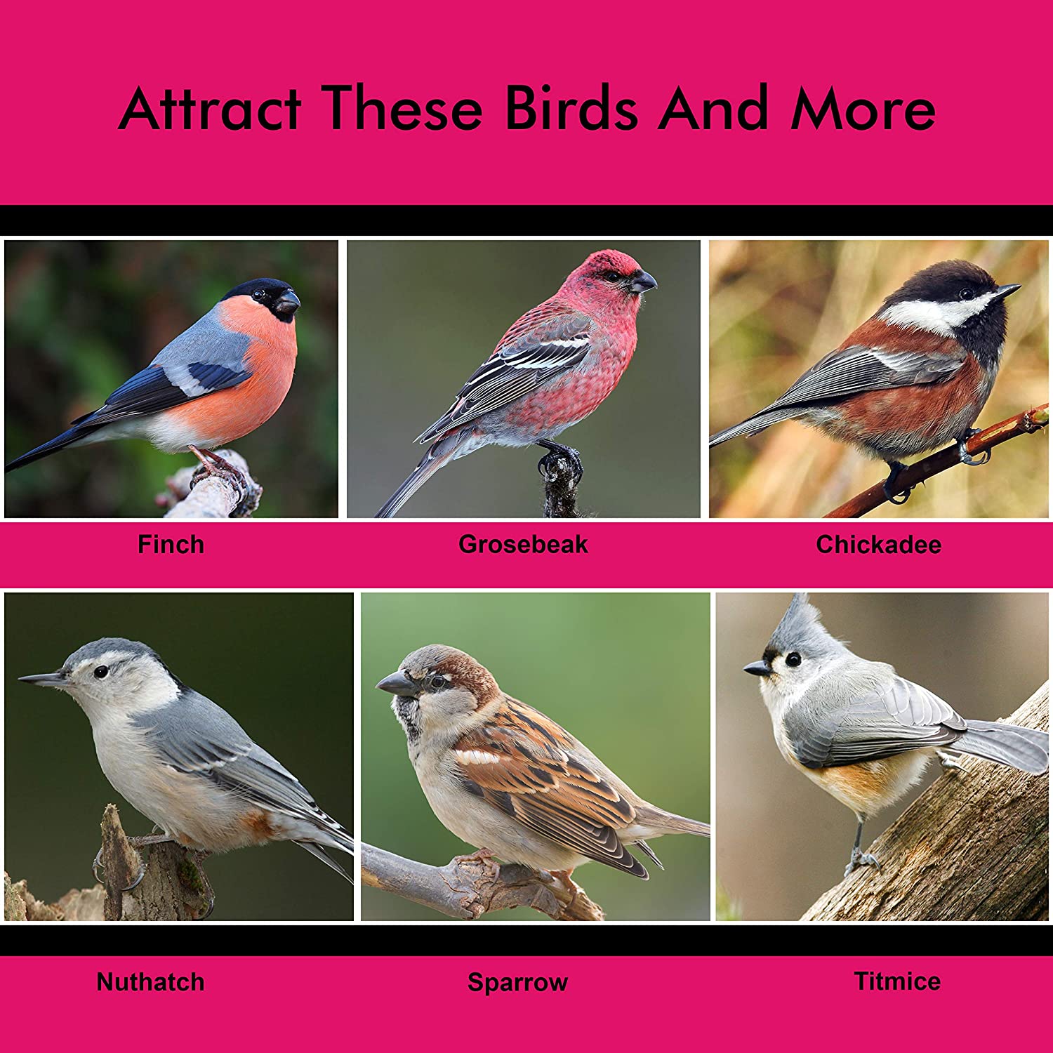  Comedero Colgante para Aves (3 Piezas) Tubo para el Jardín - Alimentador Amigable Pájaros Carpinteros Resistente a las Ardillas - Semillas Mixtas y de Girasol- Rellenado Conveniente, Fácil Limpieza 