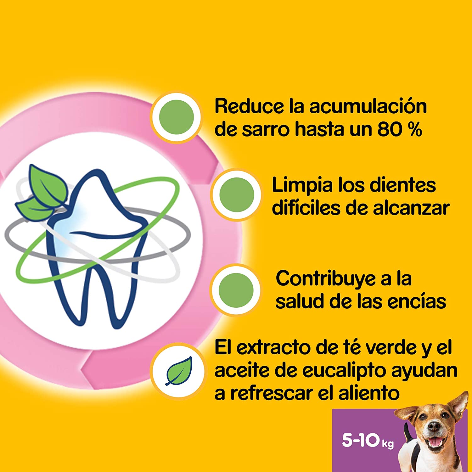  Dentastix Fresh de uso diario para higiene oral y contra mal aliento para perros pequeños (Pack de 4) 