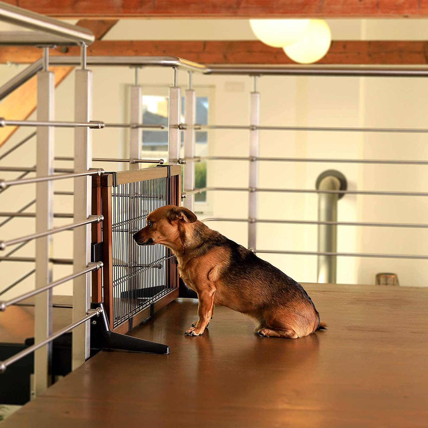  Dibea Barrera Perros Seguridad Perros Protección Escalera Cachorros Altura 50 Cm 3650 g 