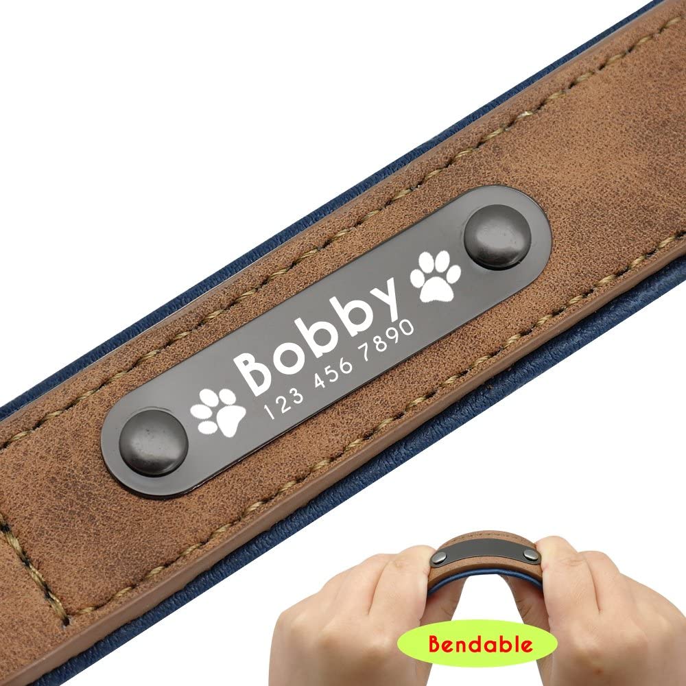  Didog - Collar de piel suave acolchada personalizable para perro, chapa de nombre, anillo en D, collar grabado para perro, tamaños pequeño, mediano y grande 