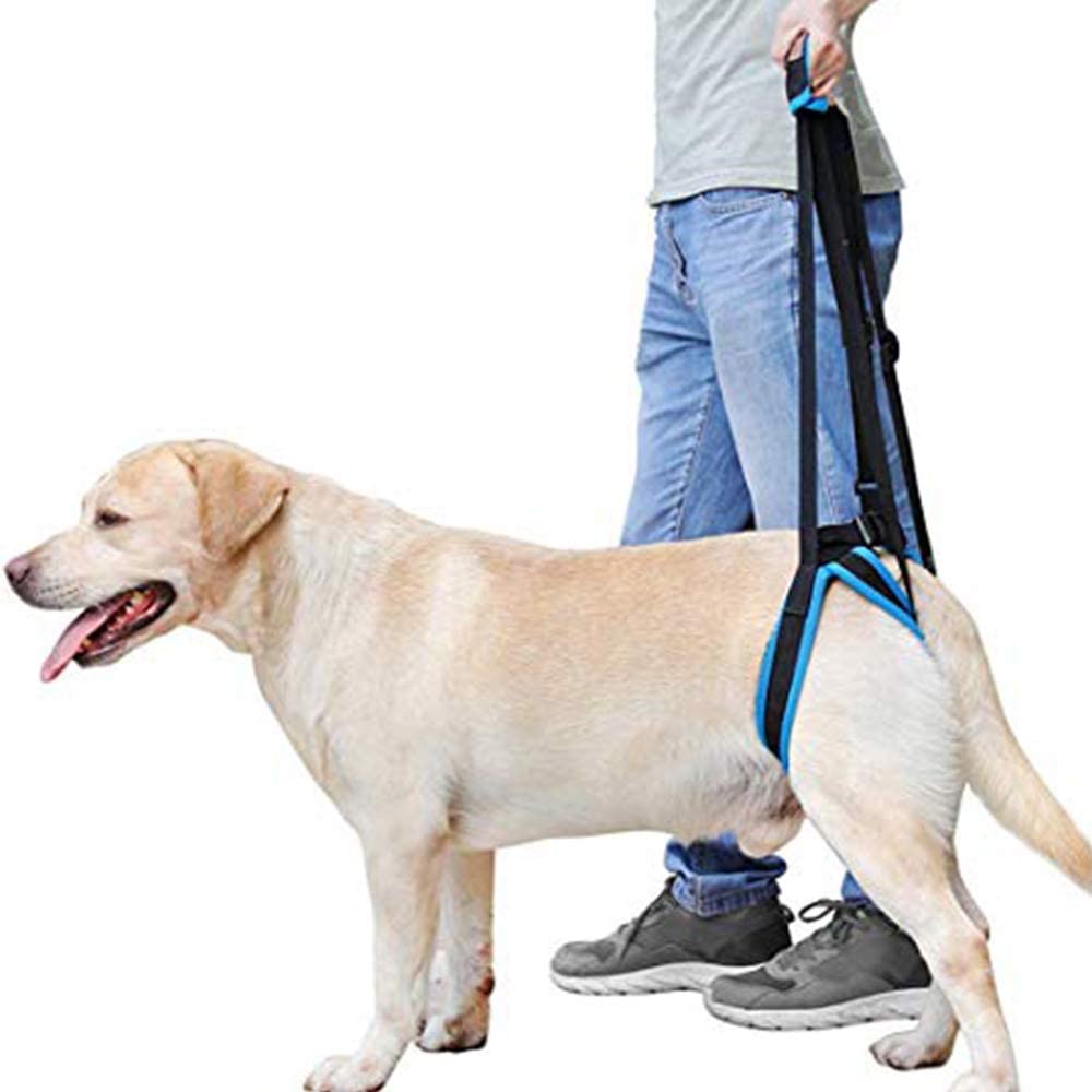  Doglemi - Arnés de elevación portátil para perros con patas traseras débiles para recuperación de cirugía y alivio del dolor 