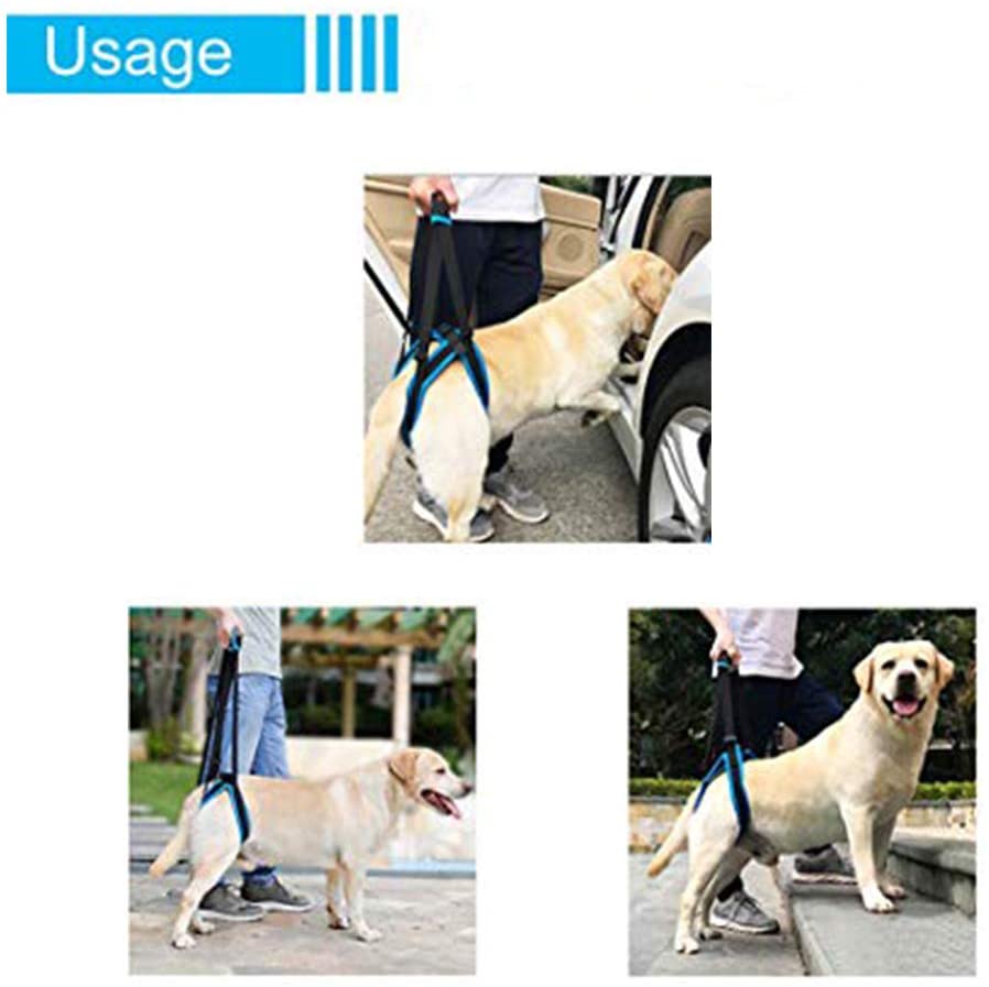  Doglemi - Arnés de elevación portátil para perros con patas traseras débiles para recuperación de cirugía y alivio del dolor 