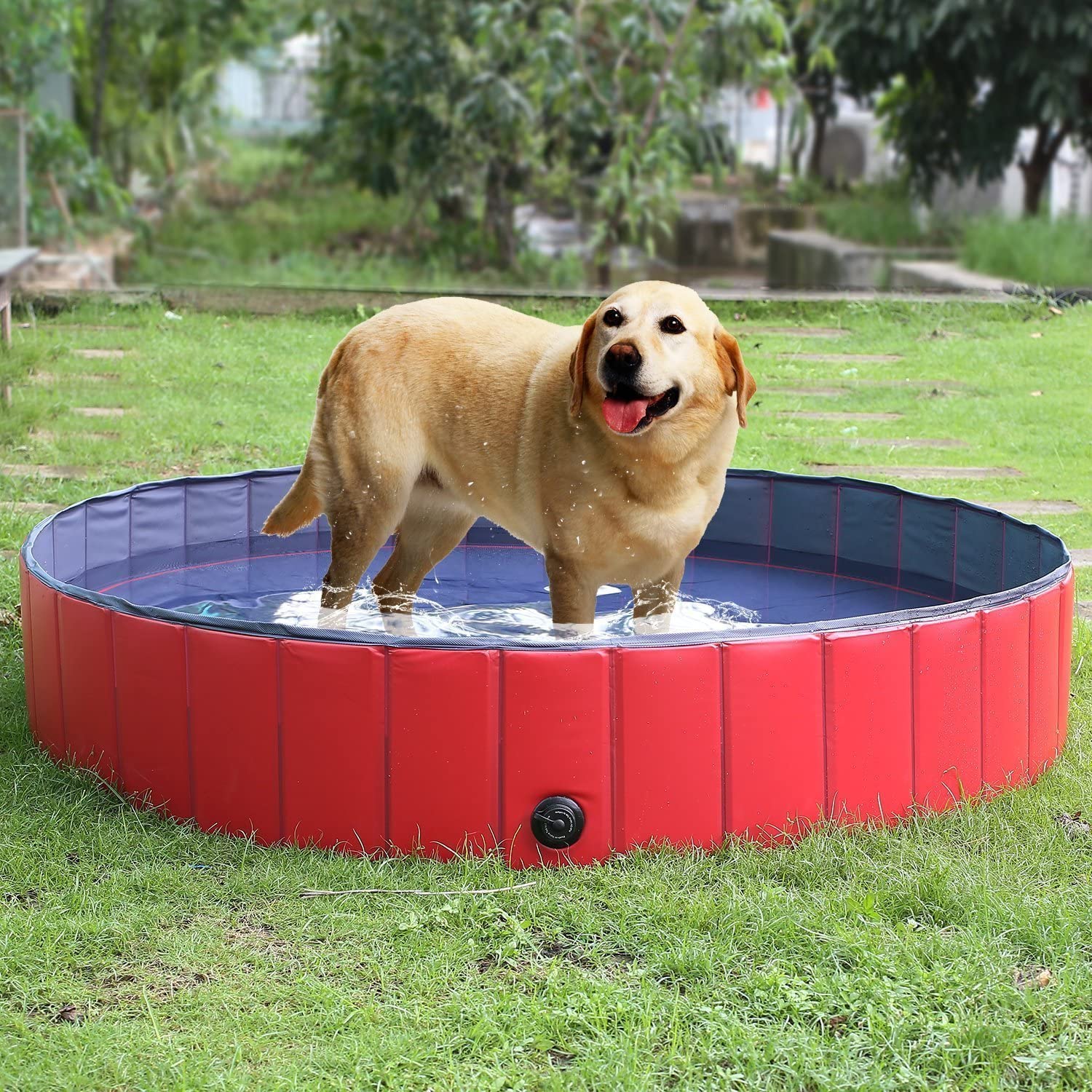  Femor Bañera Plegable de Mascotas Baño Portátil para Animales Piscina para Perros y Gatos Adecuado para Interior Exterior al Aire Libre Color Rojo (L/160 x 30cm) 
