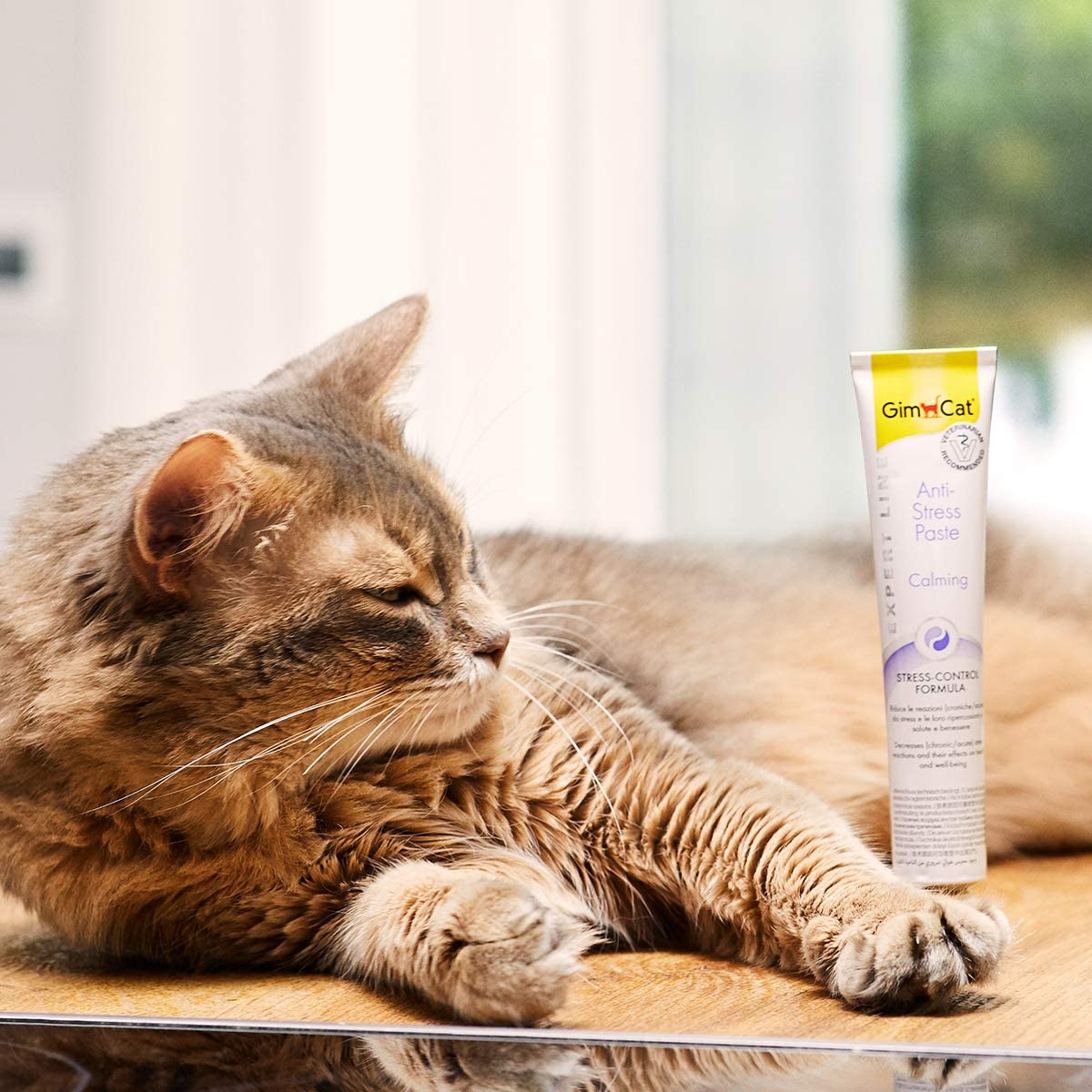  GimCat EXPERT LINE Anti-Stress, pasta - Snack para gatos funcional que reduce las reacciones provocadas por el estrés en gatos - 1 tubo (1 x 50 g) 