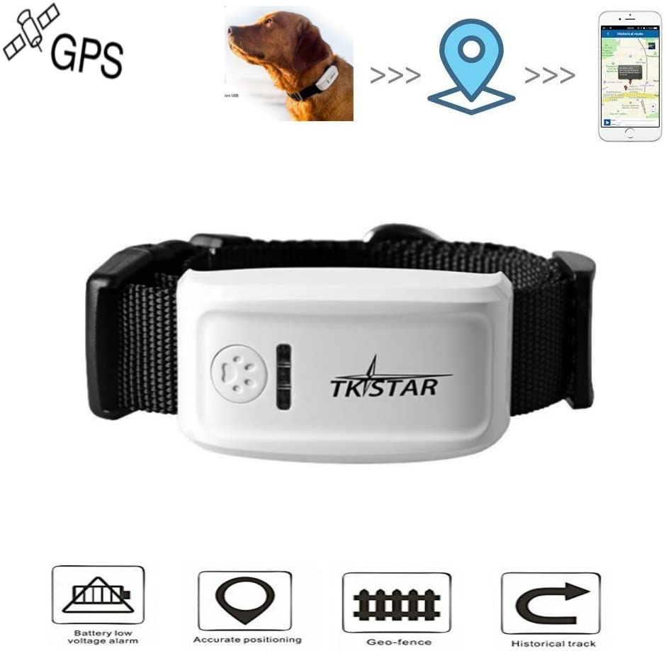  Hangang Collar GPS Perros Pet GPS Tracker con Collar, Dog Anti Lost GPS Tracking Localizador de Localización GPS enTiempo Real, Collar para Perros Training GPS en Tiempo Real con APP & Web 