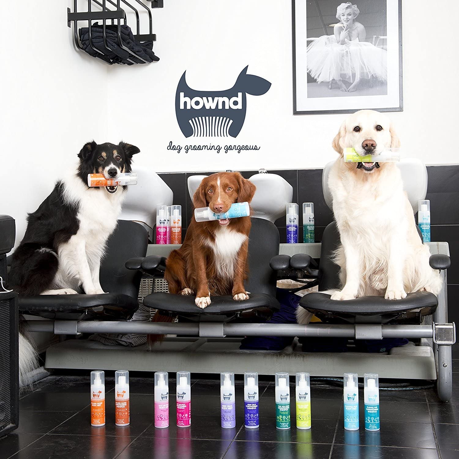  HOWND Colonia para Perros Butch Leather 
