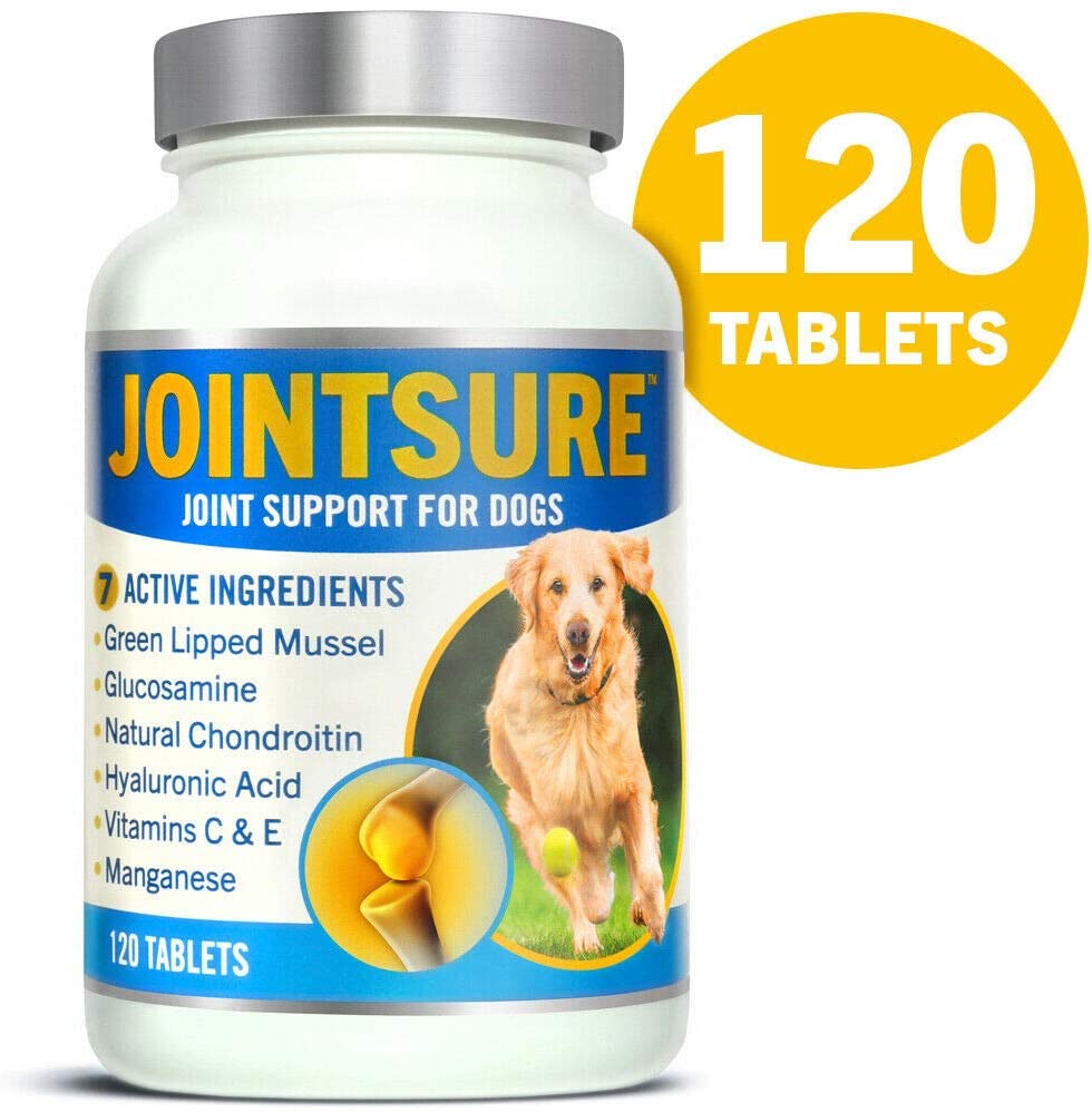  JOINTSURE condroprotector Perros| 120 Comprimidos | con mejillón de Labio Verde, glucosamina y condroitina Natural. | Este antiinflamatorio para Perros. 