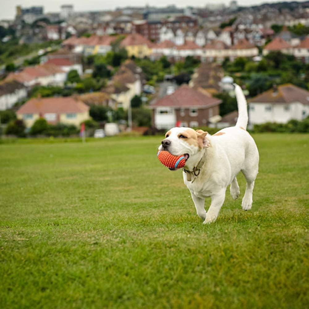  Juguete para Perro, Juguete de Rugby, Juguete Interactivos Juguete Rugby Molar Pelota Entrenamiento Masticar Pelota Perro Lanzador Pelota Bola Interactiva Pelota Perro de Látex Suave para Perros 