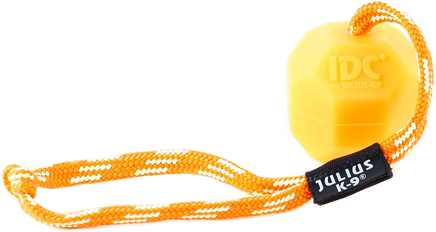  Julius-K9 242-BLL-60-ORW Fluorescens Ball with String Diam.60mm - Smooth, Orange, Soft, Un tamaño 