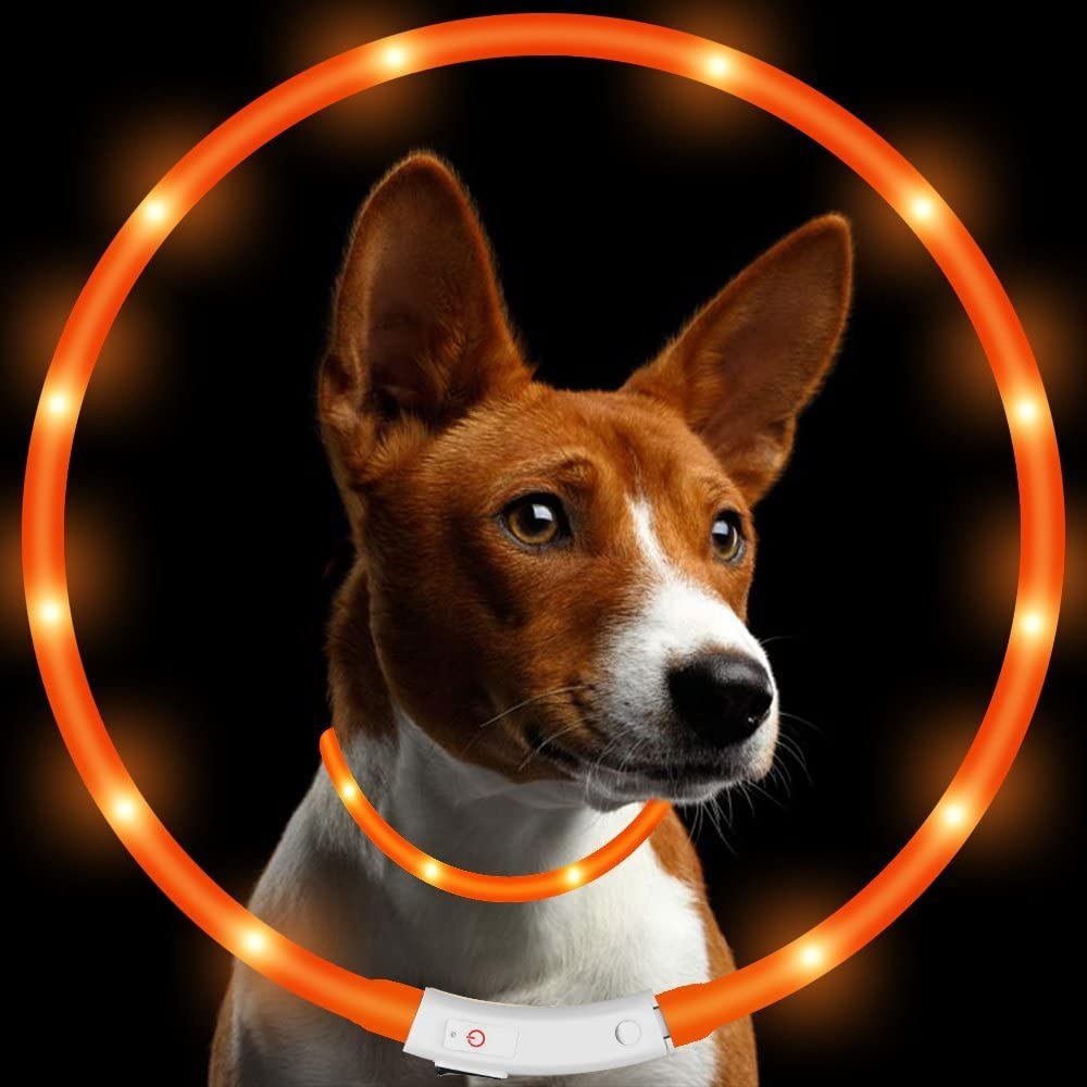  KEKU LED Collar de Perro de Mascota, llevó USB Recargable Collar de Seguridad para Mascotas Impermeable hasta la Longitud de 50 cm (19.5in) Collar de Destello Ajustable (Amarillo) 