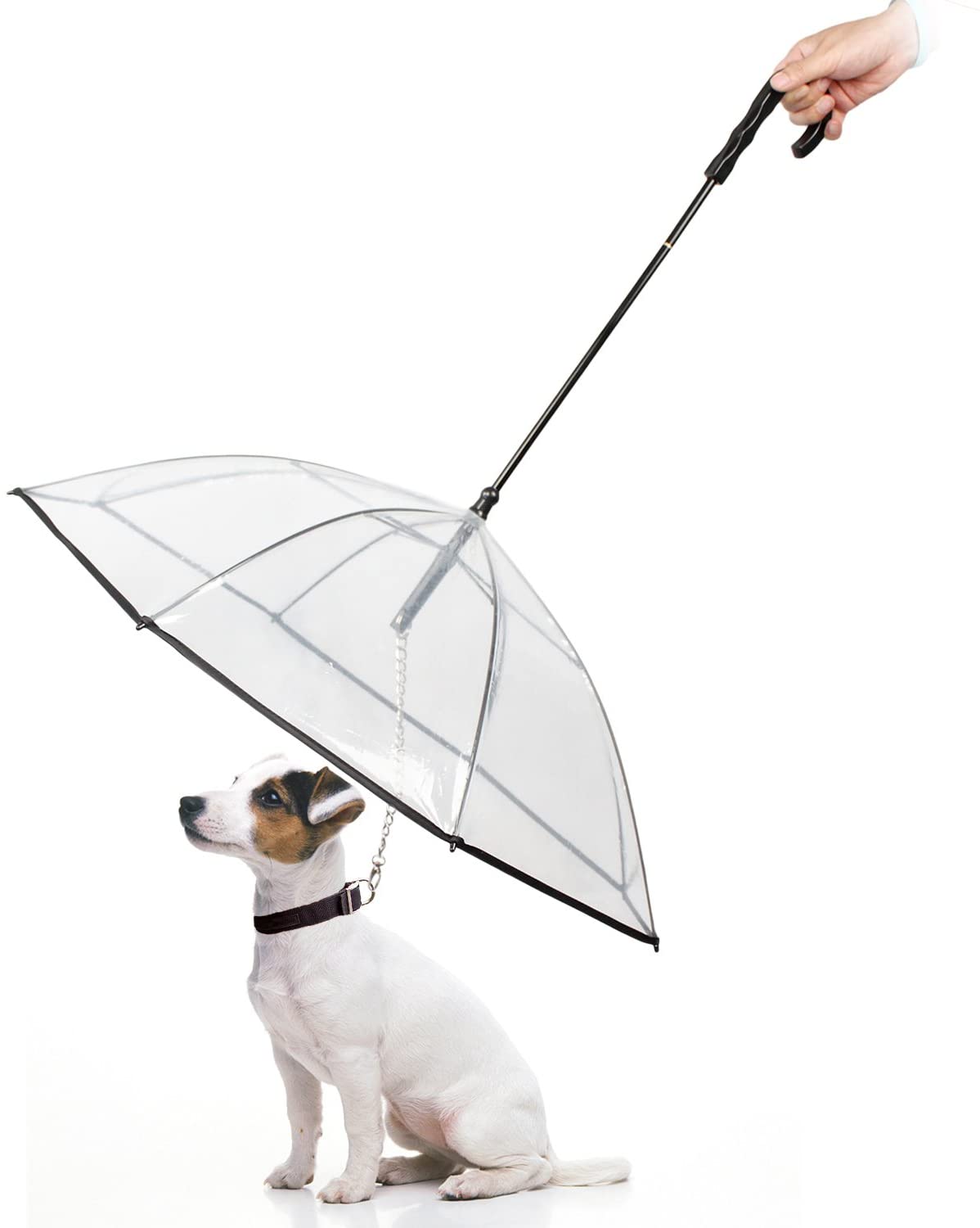  Namsan - Paraguas con Correa para Perros al Aire Libre (Nieve/Lluvia) 