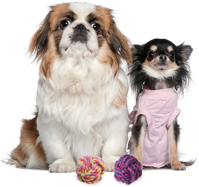  Pelota de juguete con cuerda para perro, pack de 2 bolas trenzadas de algodón para limpiar los dientes de los perros 