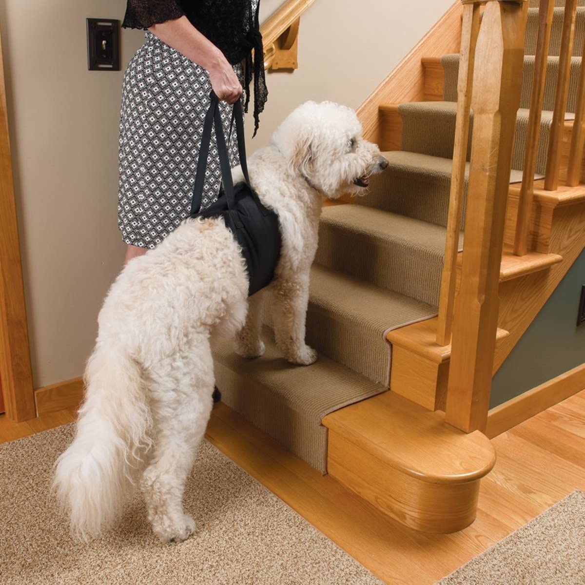  Perro elevación soporte arnés canino ayuda rehabilitación arnés para perros con patas traseras débiles, 10-25KG 