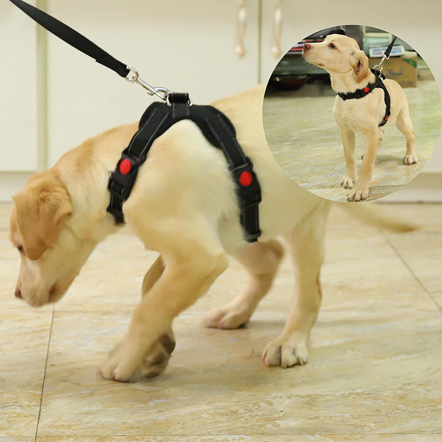  QIMEI-SHOP Arnés de Perro,Arnés de Mascotas Ajustable de Oxford con tirón para Entrenamiento de Perros o Caminar (S-M-L-XL, Negro) 