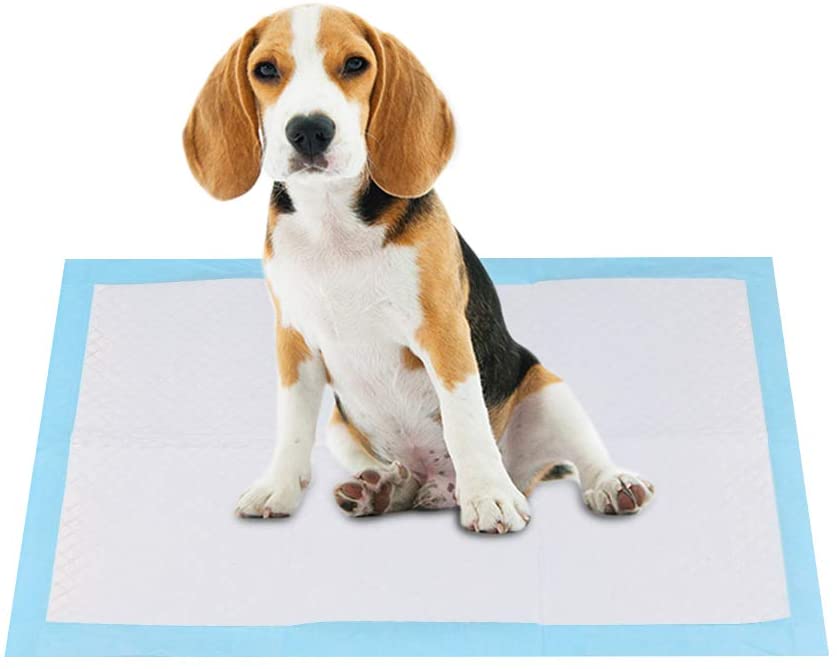  RCruning-EU Empapadores Perros Toallitas de Entrenamiento para Mascotas 33 cm x 45 cm 100 Unidades 