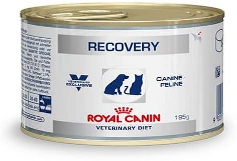  Royal Canin C-11402 Diet Recovery - 195 gr 