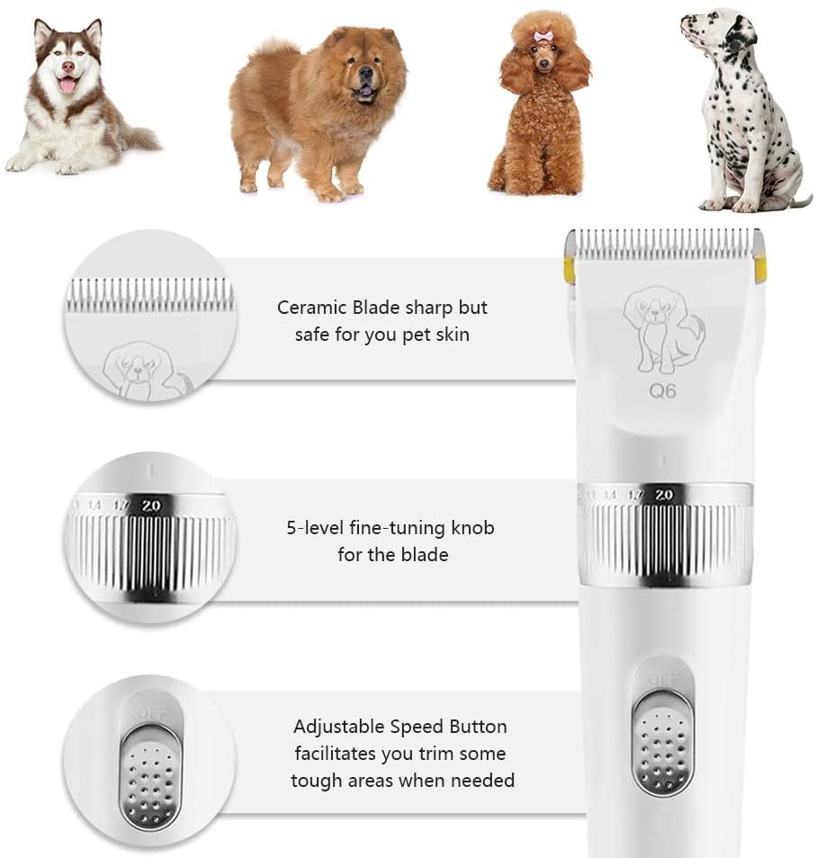  Sammiu - Juego de maquinilla de afeitar para perros de 2 velocidades y cortapelos para perros, gatos y mascotas, sin ruido, recargable, para perros pequeños, medianos y gatos 