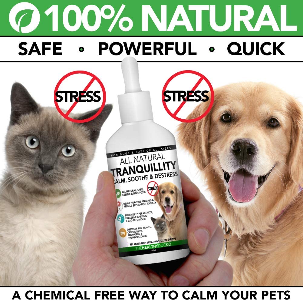  The Healthy Dog Co Gotas Calmantes Completamente Naturales para Perros y Gatos | 50-100 Administraciones | El Producto Calmante más Seguro para Aliviar el Estrés y la Ansiedad de Las Mascotas 