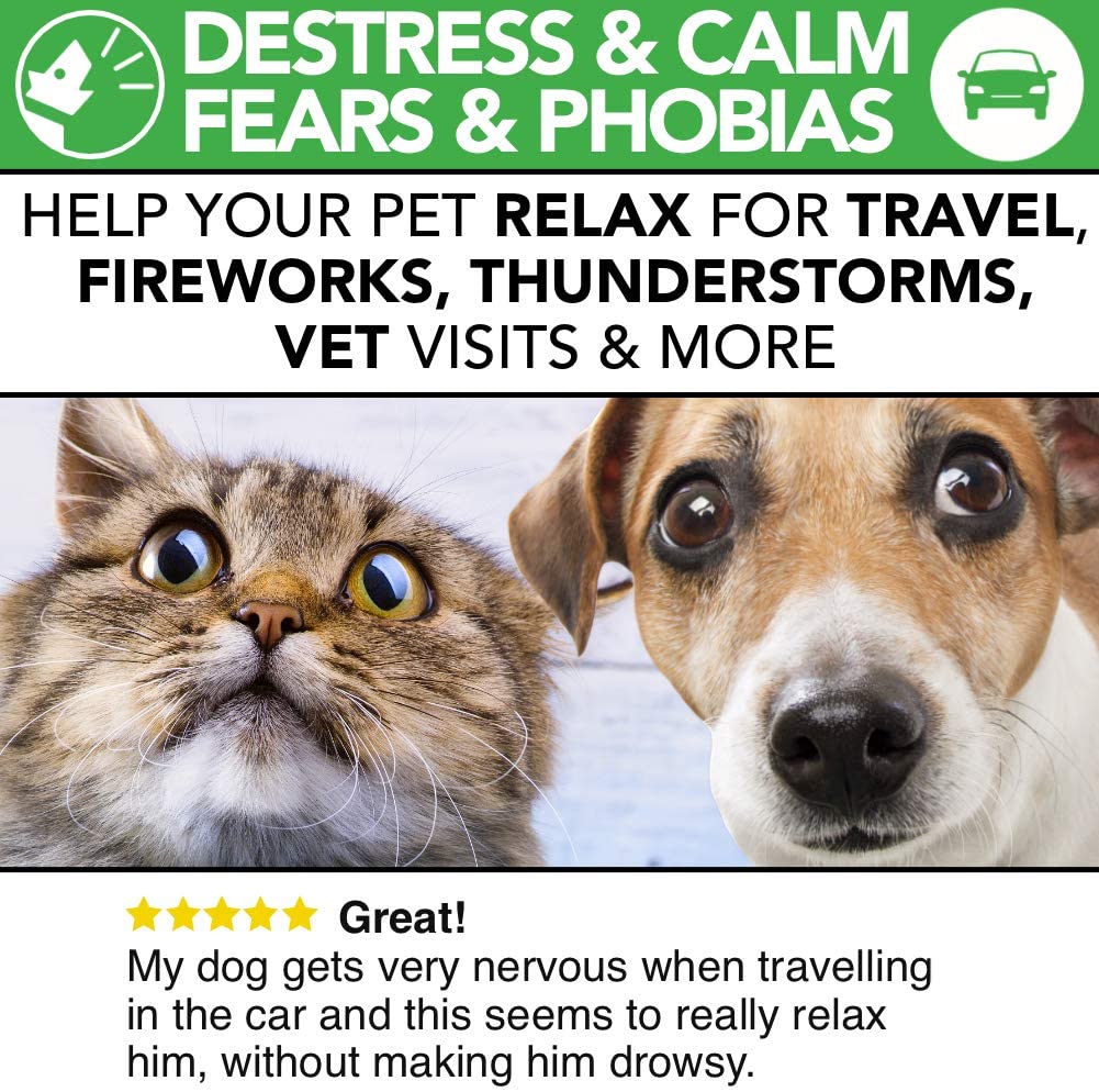  The Healthy Dog Co Gotas Calmantes Completamente Naturales para Perros y Gatos | 50-100 Administraciones | El Producto Calmante más Seguro para Aliviar el Estrés y la Ansiedad de Las Mascotas 
