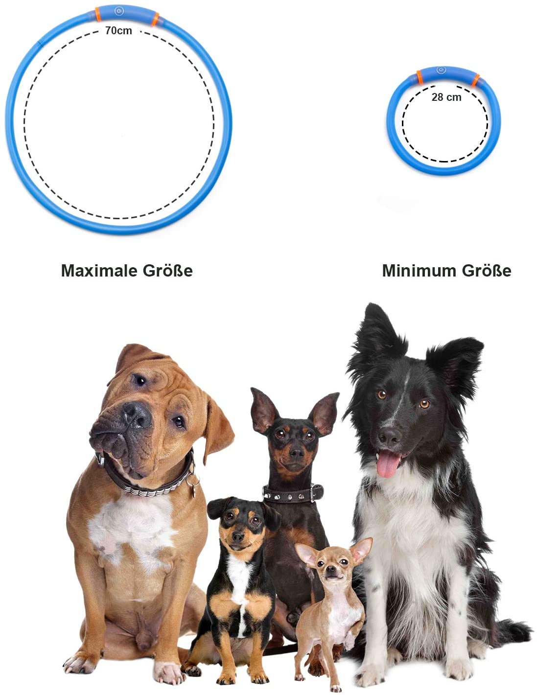  Toozey LED Collar de Perro - luz Continua Durante 20 Horas - Collar de Perro de Seguridad de Noche Ajustable Recargable con USB para Perros y Gatos - Modo 3（Azul） 