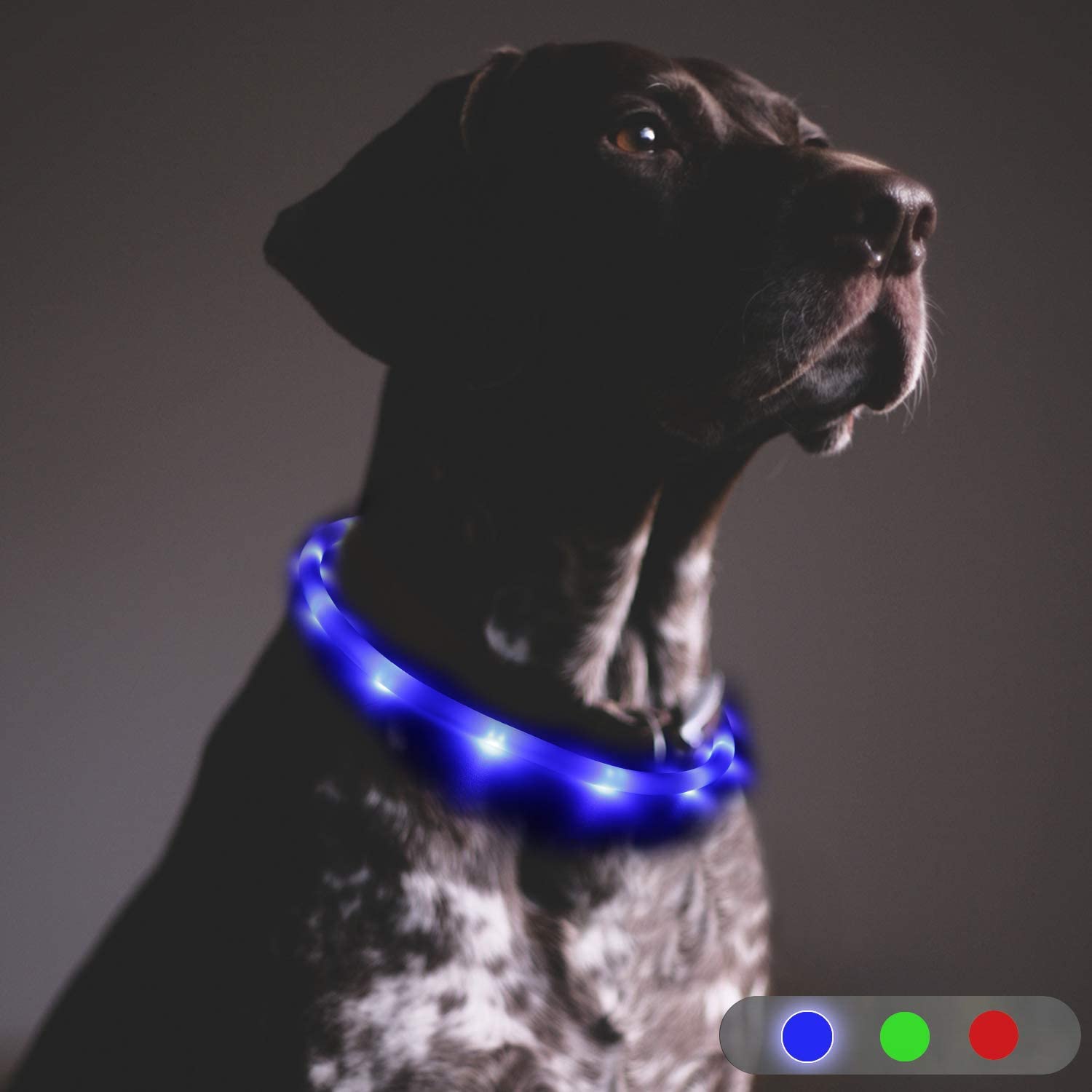  Toozey LED Collar de Perro - luz Continua Durante 20 Horas - Collar de Perro de Seguridad de Noche Ajustable Recargable con USB para Perros y Gatos - Modo 3（Azul） 