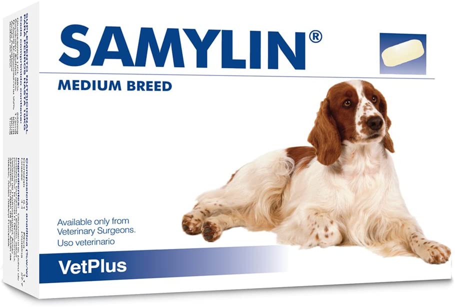  VetPlus Samylin Pequeñas Envase con 30 Comprimidos de Complementos para Sistema Digestivo 