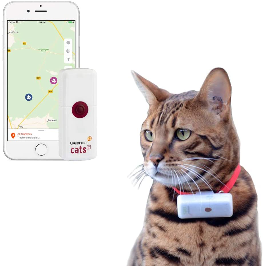  Weenect Cats 2 - El collar GPS para gatos más pequeño del mundo 